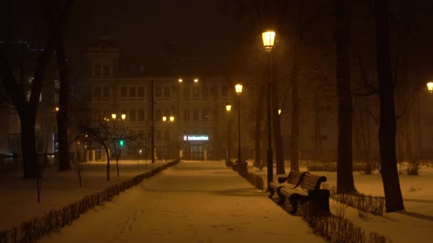 Timelapse Árvore Ano Novo 2020 Antes Fogos Artifício Samara Rússia — Vídeo de Stock