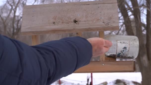 冬の鳥は 鳥の餌に種を収集します 手で鳥に餌をやる モスコフカ パワー グレート ティット — ストック動画