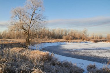 Kışın ağaçlar taze karla kaplıdır. Kış gölündeki ilk buz..