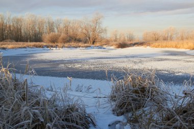 Kışın ağaçlar taze karla kaplıdır. Kış gölündeki ilk buz..