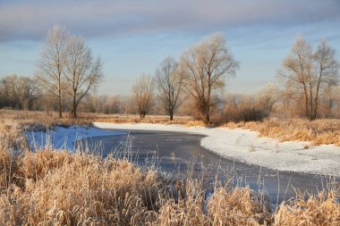 Kışın ağaçlar taze karla kaplıdır. Kış gölündeki ilk buz..