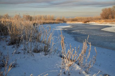 Kışın ağaçlar taze karla kaplıdır. Kış gölündeki ilk buz..