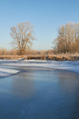 Kışın ağaçlar taze karla kaplıdır. Kış gölündeki ilk buz..
