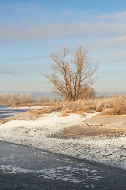 Kışın ağaçlar taze karla kaplıdır. Kış gölündeki ilk buz..