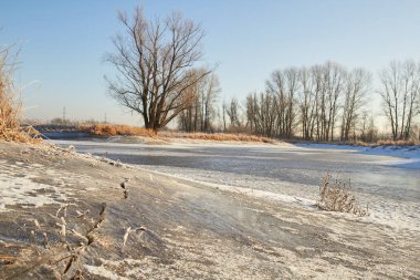 Kışın ağaçlar taze karla kaplıdır. Kış gölündeki ilk buz..