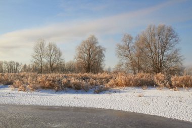 Kışın ağaçlar taze karla kaplıdır. Kış gölündeki ilk buz..