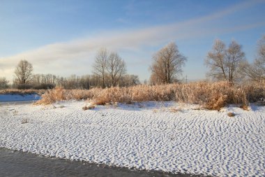 Kışın ağaçlar taze karla kaplıdır. Kış gölündeki ilk buz..