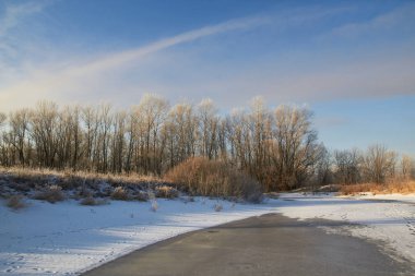 Kışın ağaçlar taze karla kaplıdır. Kış gölündeki ilk buz..