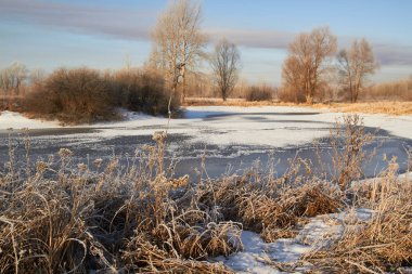 Kışın ağaçlar taze karla kaplıdır. Kış gölündeki ilk buz..