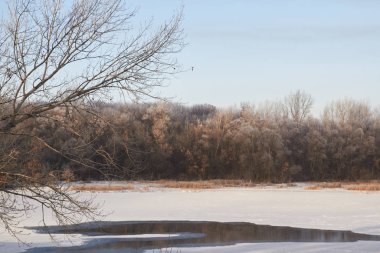 Kışın ağaçlar taze karla kaplıdır. Kış gölündeki ilk buz..