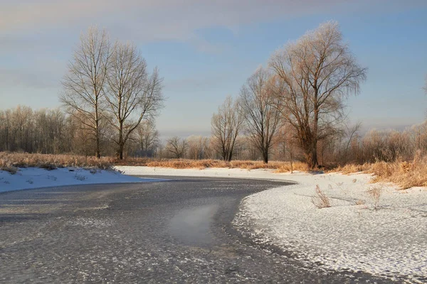 Im Winter sind die Bäume mit Neuschnee bedeckt, dem ersten Eis auf einem Wintersee. — Stockfoto