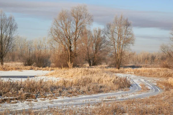 No inverno, as árvores são cobertas com neve fresca, o primeiro gelo em um lago de inverno . — Fotografia de Stock