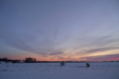 Kış manzarası - güneşli bir sabahta karlı ormanda buzlu ağaçlar. Sakin kış doğası gün ışığında