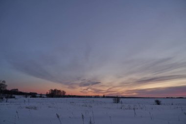 Kış manzarası - güneşli bir sabahta karlı ormanda buzlu ağaçlar. Sakin kış doğası gün ışığında