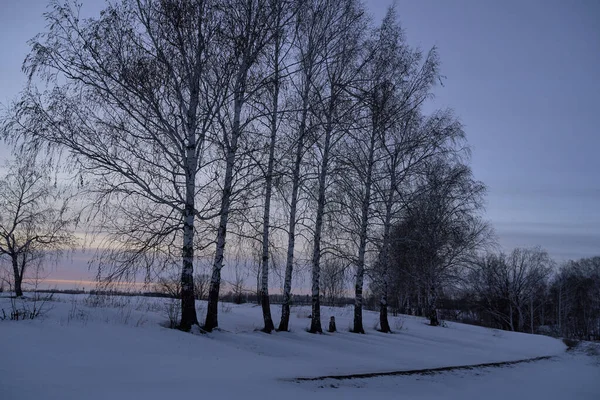 Zimní krajina - mrazivé stromy v zasněženém lese ve slunečném ránu. Klidná zimní příroda na slunci — Stock fotografie