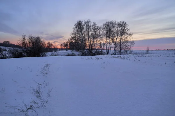 Winterlandschaft - frostige Bäume im verschneiten Wald am sonnigen Morgen. Ruhige Winternatur im Sonnenlicht — Stockfoto