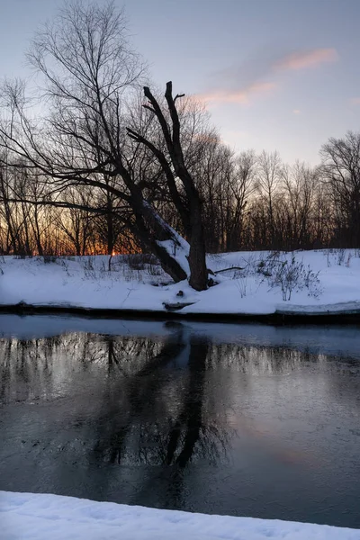 Zimní krajina-mrazivé stromy ve sněhem pokrytém březovém lese za slunečného rána. — Stock fotografie