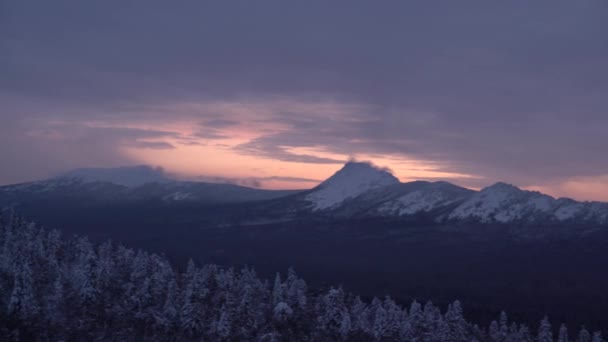 Vista Las Montañas Nevadas Día Soleado Invierno Abetos Nevados Hasta — Vídeo de stock