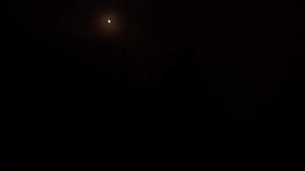 夜晚的天空 大的月亮 大的月亮 在针叶林里 寒冷的夜晚 — 图库视频影像