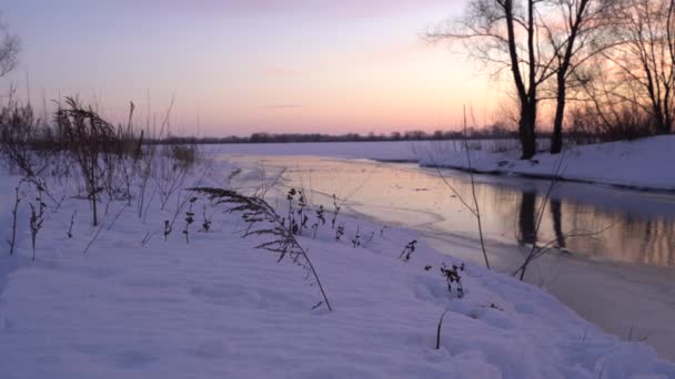 Vinterlandskap Frostiga Träd Snötäckt Skog Solig Morgon Lugn Vinter Natur — Stockvideo