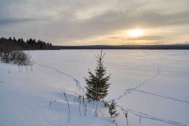 Şafak vakti karla kaplı göl ve kıyıda tekneler. Dağlarda karla kaplı köknar ağaçları olan kış ormanı..