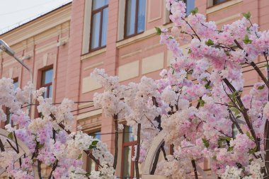 Tatil, sıcak bir yaz gününde büyük bir şehirde düzenlenir. Çiçek aranjmanı. Renkler festivali.
