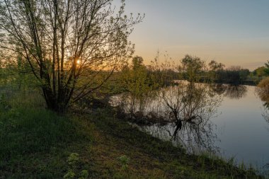 Gölün üstünde şafak. Gün batımında parlayan parlak ışık bulutlarıyla güzel bir akşam masmavi gökyüzü. Sıcak yaz akşamı gün batımında.
