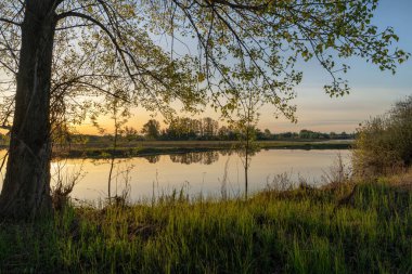Gölün üstünde şafak. Gün batımında parlayan parlak ışık bulutlarıyla güzel bir akşam masmavi gökyüzü. Sıcak yaz akşamı gün batımında.