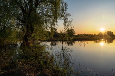 Gölün üstünde şafak. Gün batımında parlayan parlak ışık bulutlarıyla güzel bir akşam masmavi gökyüzü. Sıcak yaz akşamı gün batımında.