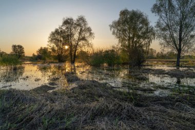 Gölün üstünde şafak. Gün batımında parlayan parlak ışık bulutlarıyla güzel bir akşam masmavi gökyüzü. Sıcak yaz akşamı gün batımında.