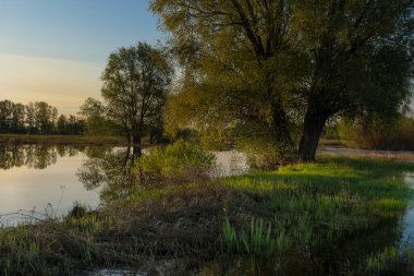 Gölün üstünde şafak. Gün batımında parlayan parlak ışık bulutlarıyla güzel bir akşam masmavi gökyüzü. Sıcak yaz akşamı gün batımında.