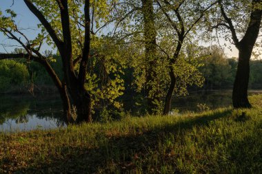 Gölün üstünde şafak. Gün batımında parlayan parlak ışık bulutlarıyla güzel bir akşam masmavi gökyüzü. Sıcak yaz akşamı gün batımında.