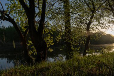 Gölün üstünde şafak. Gün batımında parlayan parlak ışık bulutlarıyla güzel bir akşam masmavi gökyüzü. Sıcak yaz akşamı gün batımında.