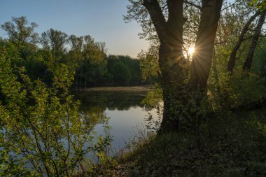 Gölün üstünde şafak. Gün batımında parlayan parlak ışık bulutlarıyla güzel bir akşam masmavi gökyüzü. Sıcak yaz akşamı gün batımında.