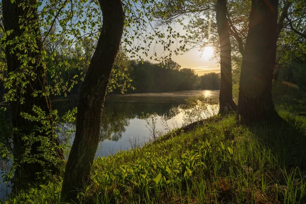 湖の上に夜明け 輝く明るい光の雲と夕日の美しい夜の青空 日没の暖かい夏の夜 — ストック写真