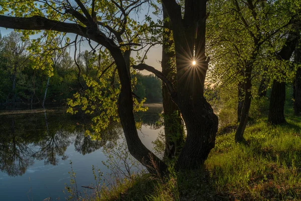 湖の上に夜明け 輝く明るい光の雲と夕日の美しい夜の青空 日没の暖かい夏の夜 — ストック写真