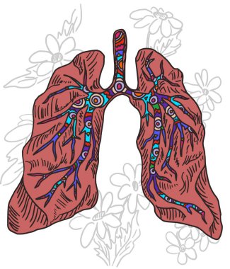 Beyaz üzerine insan ciğeri karalama biçimi çiziyor