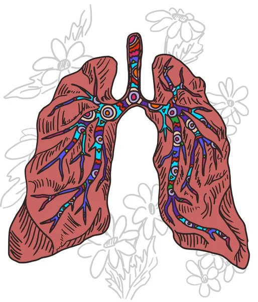 Rysunek ludzkiego stylu doodle płuc na białym — Zdjęcie stockowe