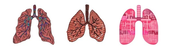Ritning av en mänsklig lunga klotter skiss platt stil — Stockfoto