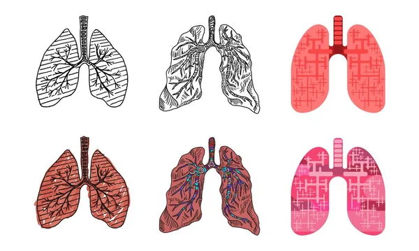 Ritningar av mänskliga lungor i olika stilar av ritning — Stockfoto