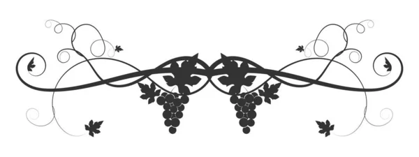 Drawn vine grape weaving on a white background — ストック写真