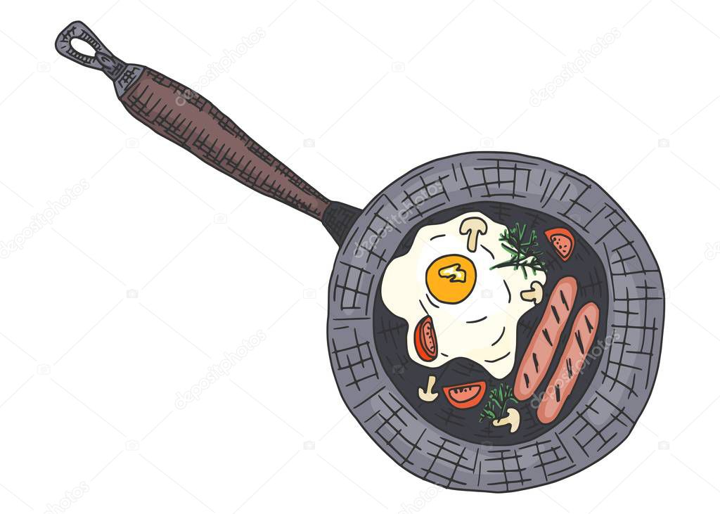 fried eggs in a pan with sausages colored sketch painted. vector illustration