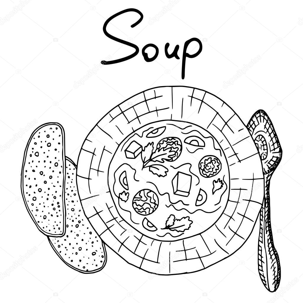 soup in a plate sketch drawing. new vector stock illustration