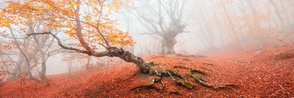 Crimea. Piękny panoramiczny widok Zdjęcie Stockowe