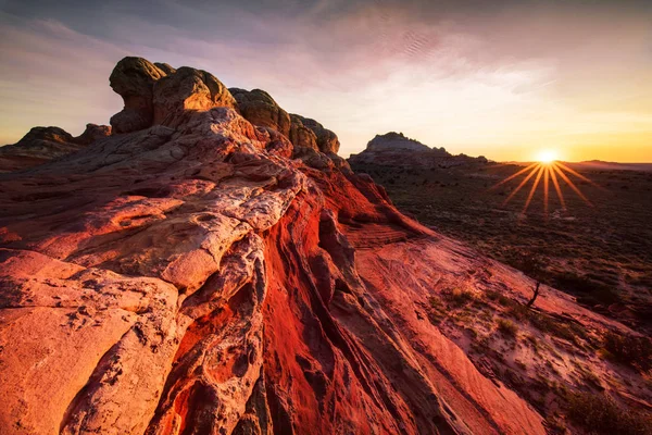 Bolsillo blanco, Arizona — Foto de Stock