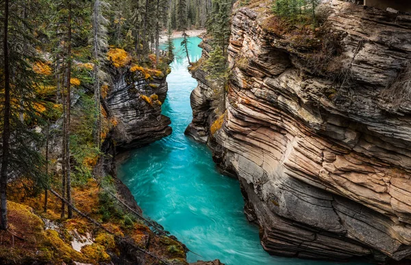 Cataratas de Athabasca. Canadá Imagens Royalty-Free