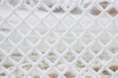 Beyaz donmuş kar pul arka plan