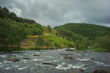 Ulusal parkta vahşi nehir