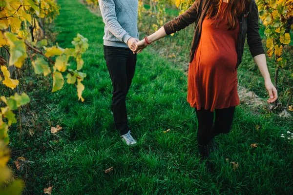 Schwangere und ihr Mann Hand in Hand in Weinbergen — Stockfoto