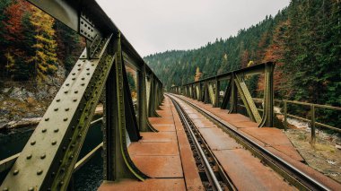 Palcmanska Gölü üzerindeki eski metal köprü, Ulusal Park Slovak p